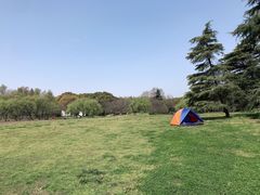 -共青国家森林公园-售票处