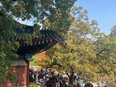 -香山公园