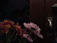 -花满楼(启秀路店)