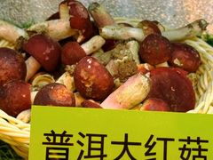 -菌海森林·非遗野生菌火锅(西山区滇池路摩根道店)