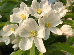 -北京园博大酒店