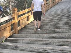 -大屏嶂森林公园