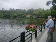 -畔山酒店中餐厅