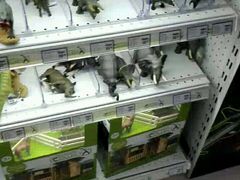 -TOYSRUS玩具反斗城(广州IGC天汇广场店)