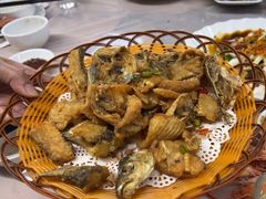 -八仔大富楼·河鲜(西江店)