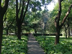 -玲珑塔公园