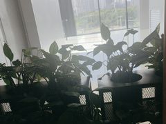 -顺风汤馆·广府粤菜(江宸天街店)