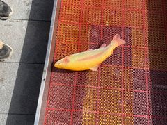 -京北渔家傲