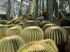 -南山植物园
