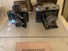 -北京动物园-畅观楼