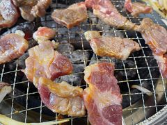 -四斤烤肉(东戴河孟家店)