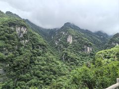 -牛背梁国家森林公园