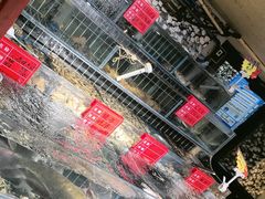 -大胡子海鲜·天津菜·砂锅烧烤(五大道创始店)