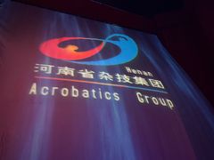 -水秀国际大剧院