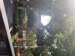 -星巴克(深圳侨城街店)