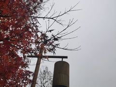 -梁鸿国家湿地公园