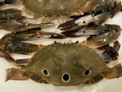 -福鼎轩海鲜大酒楼(皇轩酒店)