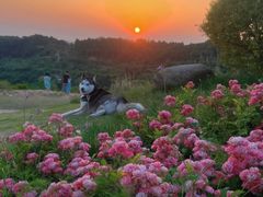 -仙海旅游度假区