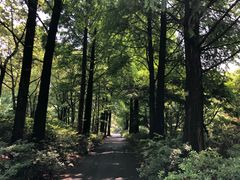 -上海滨江森林公园