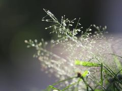 -维乐口腔医院(星海湾分院)