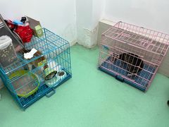 -瑞派宠物医院(搏威敦和院)