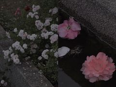 -尚贤河湿地