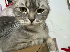 -荔康动物医院(康王北路店)