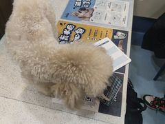 -萌兽医馆·犬猫专科·眼科中心·宠物医院(朝阳门分院)