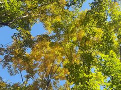 -北京雁栖湖国际会展中心