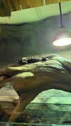 -Zoolung Zoolung动物主题公园(海信广场店)