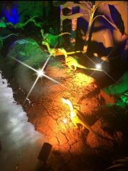 -恐龙探索乐园(磁器口店)