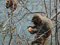 -白帝城·瞿塘峡景区