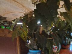 -凯撒城堡西餐厅(颐和国际店)