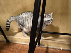 -H立方实景剧情密室(天河旗舰店)