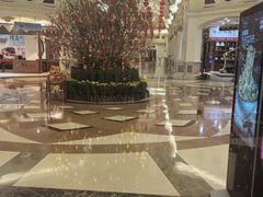 -江门新会碧桂园凤悦凤凰酒店(万达广场店)