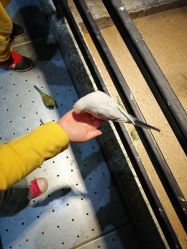 -酷嗒动物文化乐园(cutezoo西溪乐天城店)