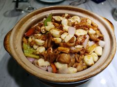 生啫大肠头-食客堂麻婆豆腐专门店