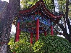 -莲湖公园