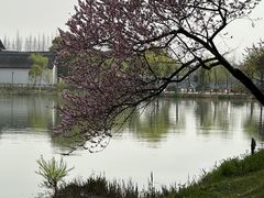 -沙家浜风景区