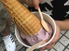 -歎雪糕低糖低脂Gelato冰淇淋