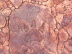 iphone_upload_pic-百里山水画廊