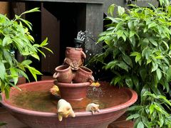 -清迈女子监狱马杀鸡(无分店)