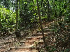 -火炉山森林公园