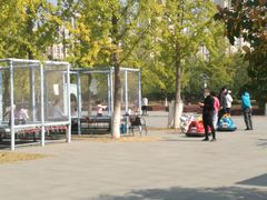 -永定河休闲森林公园