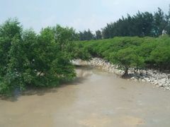 好风光-宝安西湾红树林湿地公园