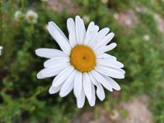 -唐城墙遗址公园