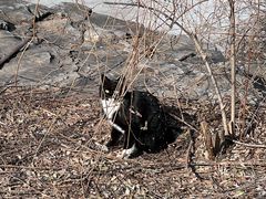 -北京西山国家森林公园