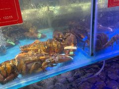 -四海蒸鲜蒸汽海鲜自助(北戴河店)