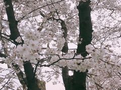 -上海南浦大桥长途旅游客运站