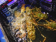 -盒马鲜生(昆城店)